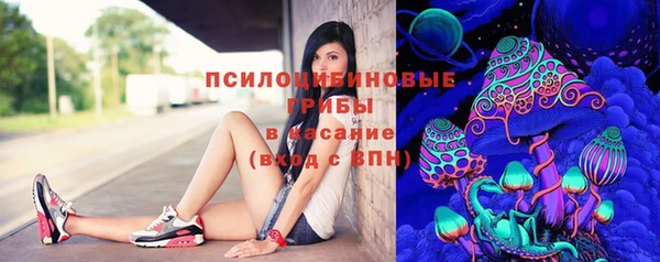 COCAINE Гусь-Хрустальный